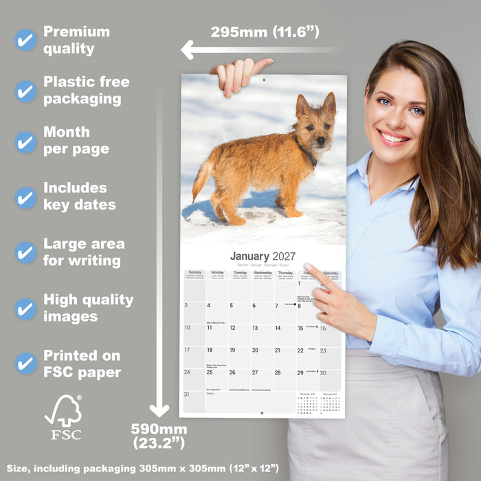 Cairn Terrier 2027 Square Wall Calendar