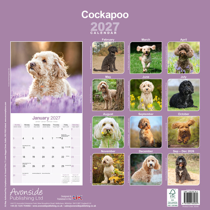 Cockapoo 2027 Square Wall Calendar