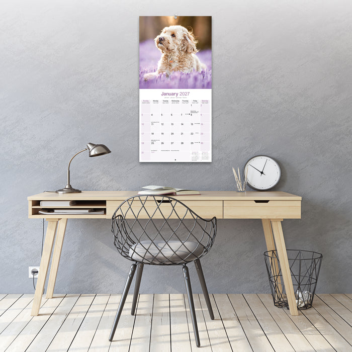 Cockapoo 2027 Square Wall Calendar