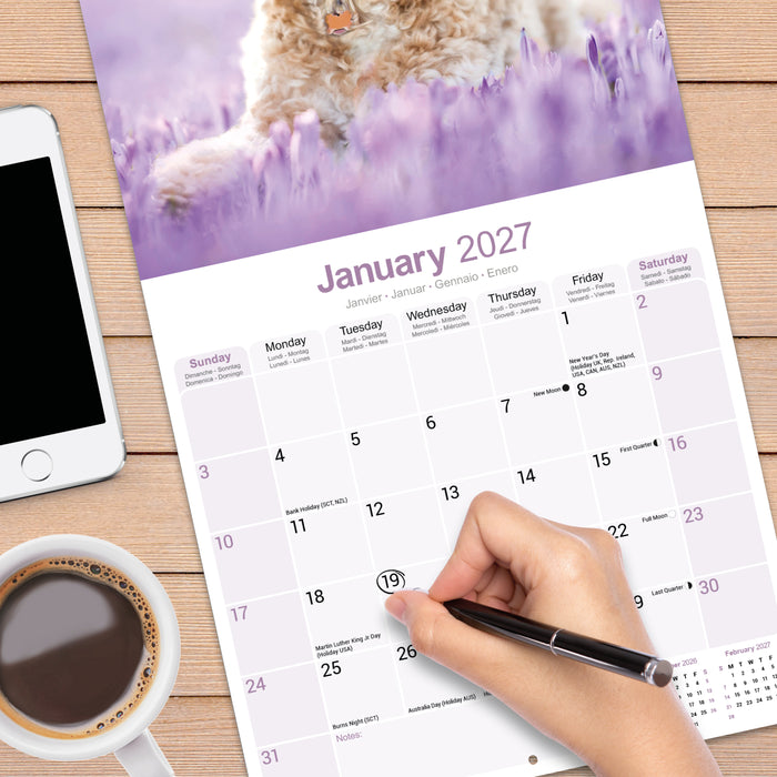 Cockapoo 2027 Square Wall Calendar