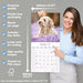 Cockapoo 2027 Square Wall Calendar