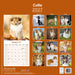 Collie 2027 Square Wall Calendar