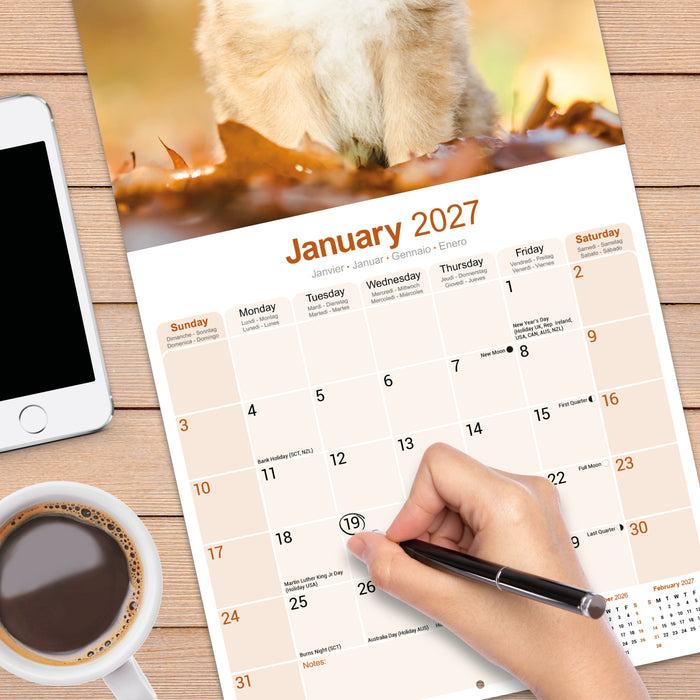 Collie 2027 Square Wall Calendar
