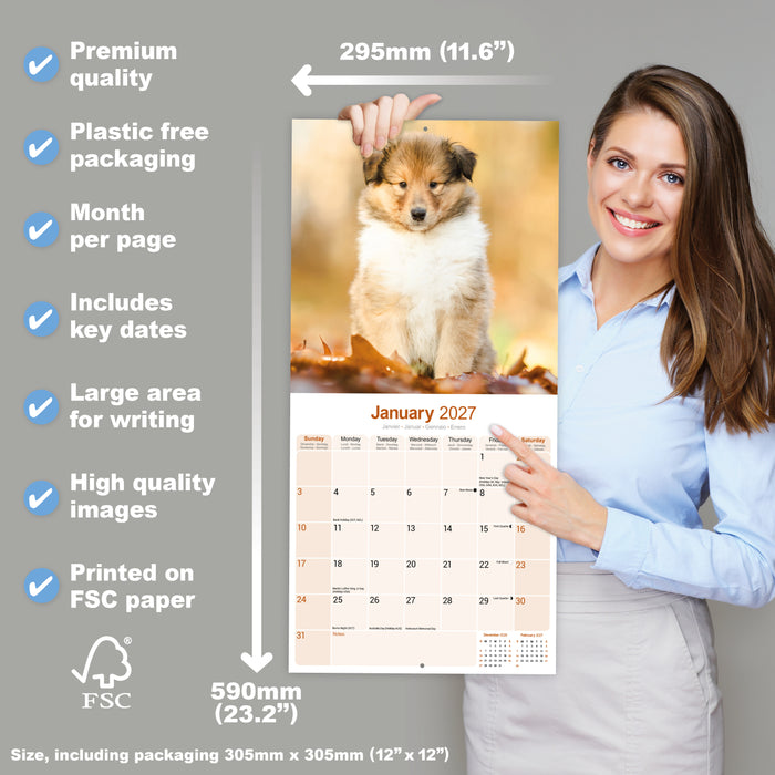 Collie 2027 Square Wall Calendar