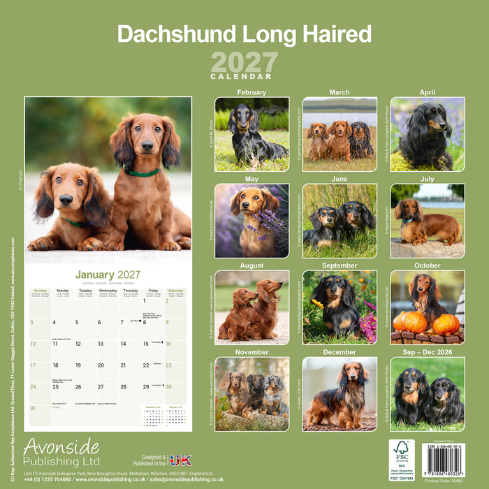 Longhaired Dachshund 2027 Square Wall Calendar