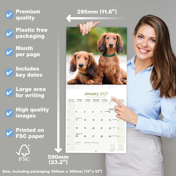 Longhaired Dachshund 2027 Square Wall Calendar