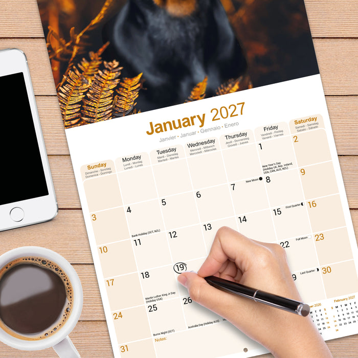 Dobermann Euro 2027 Square Wall Calendar