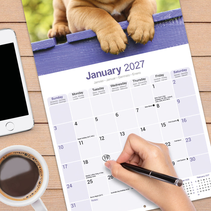 Dogue de Bordeaux 2027 Square Wall Calendar