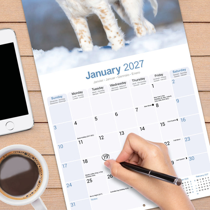English Setter 2027 Square Wall Calendar