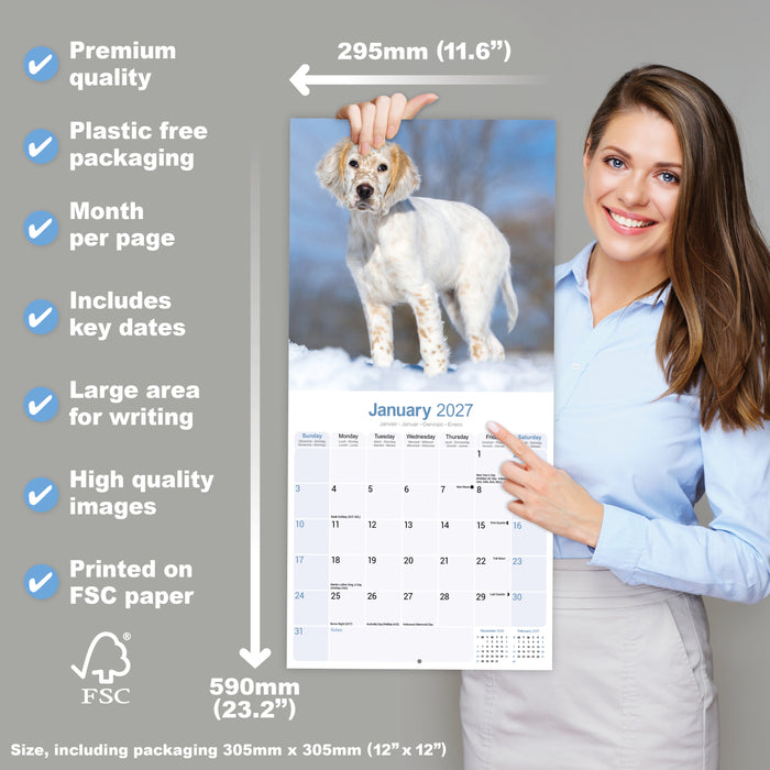 English Setter 2027 Square Wall Calendar