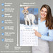English Setter 2027 Square Wall Calendar
