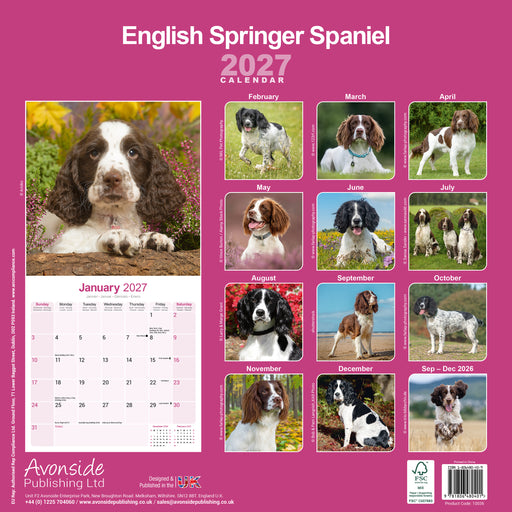 English Springer Spaniel Euro 2027 Square Wall Calendar