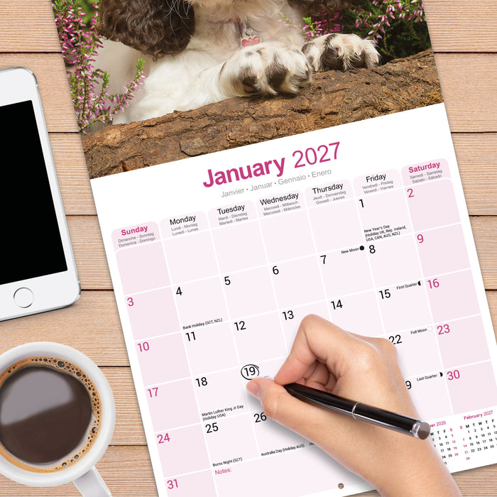 English Springer Spaniel Euro 2027 Square Wall Calendar
