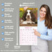 English Springer Spaniel Euro 2027 Square Wall Calendar