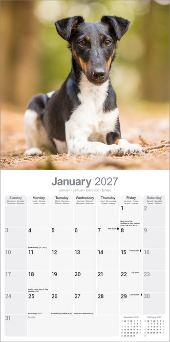 Fox Terrier 2027 Square Wall Calendar