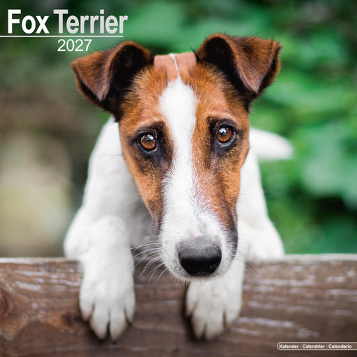 Fox Terrier 2027 Square Wall Calendar