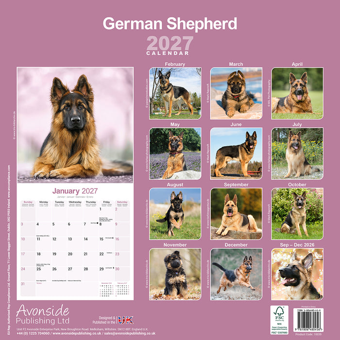 German Shepherd 2027 Square Wall Calendar