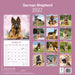 German Shepherd 2027 Square Wall Calendar