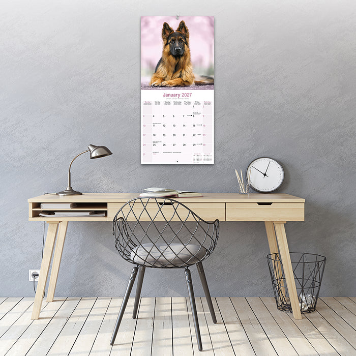 German Shepherd 2027 Square Wall Calendar