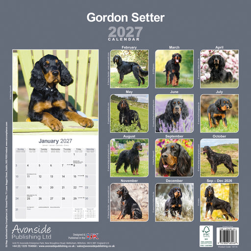 Gordon Setter 2027 Square Wall Calendar