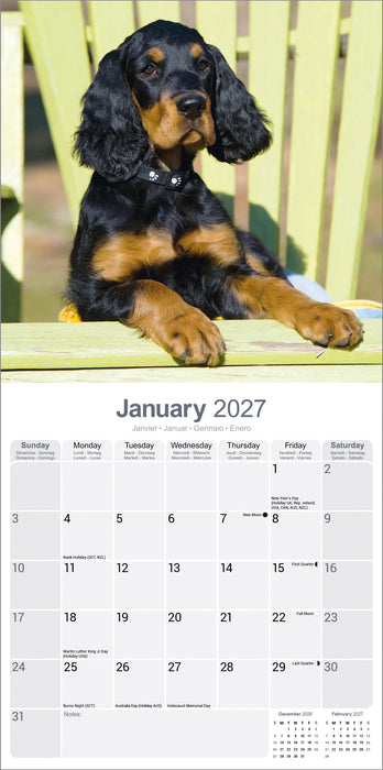 Gordon Setter 2027 Square Wall Calendar