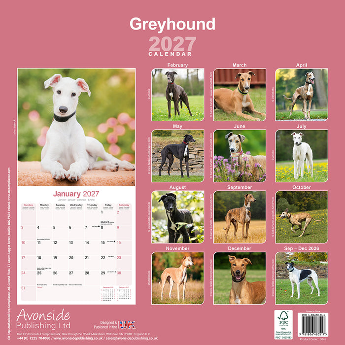 Greyhound 2027 Square Wall Calendar