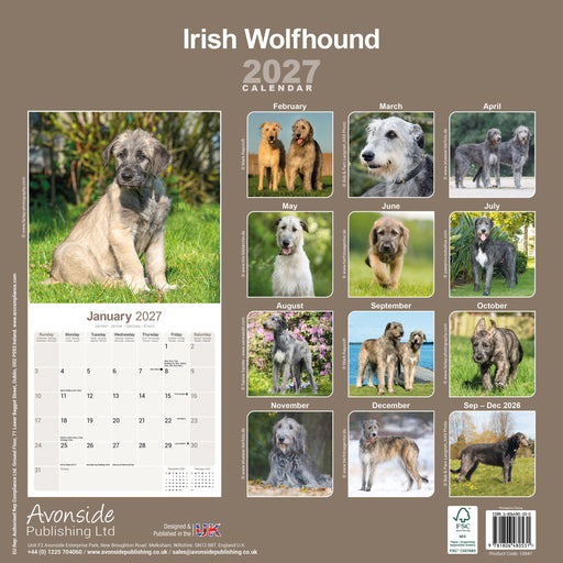 Irish Wolfhound 2027 Square Wall Calendar