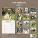 Irish Wolfhound 2027 Square Wall Calendar
