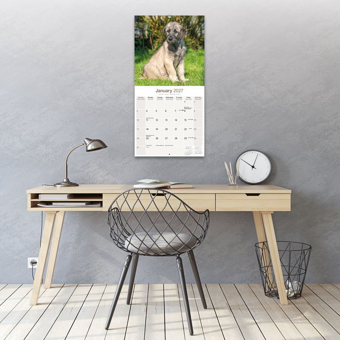 Irish Wolfhound 2027 Square Wall Calendar