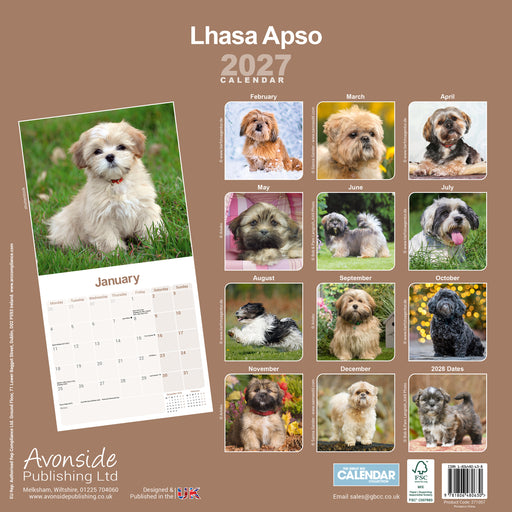 Lhasa Apso 2027 Square Wall Calendar