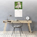 Lhasa Apso 2027 Square Wall Calendar