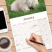 Lhasa Apso 2027 Square Wall Calendar