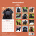 Newfoundland 2027 Square Wall Calendar