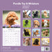 Poodle Toy and Miniature 2027 Square Wall Calendar