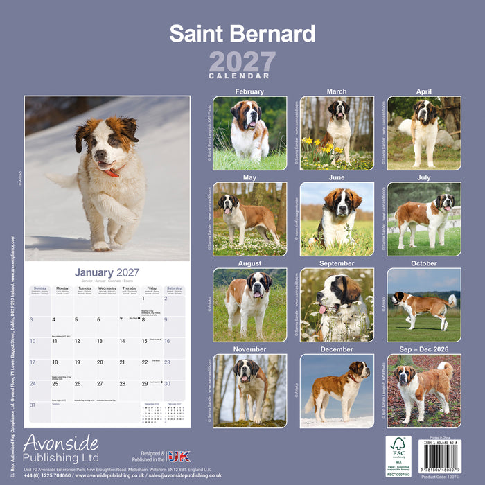 Saint Bernard 2027 Square Wall Calendar