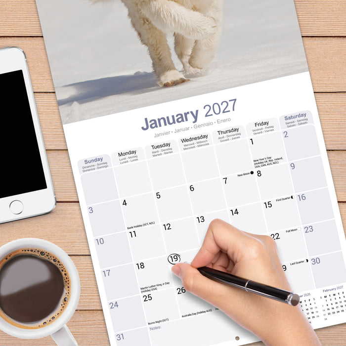 Saint Bernard 2027 Square Wall Calendar