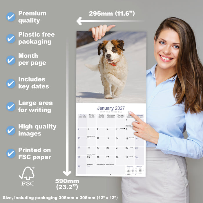 Saint Bernard 2027 Square Wall Calendar