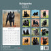 Schipperke 2027 Square Wall Calendar