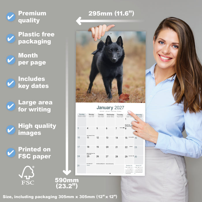 Schipperke 2027 Square Wall Calendar