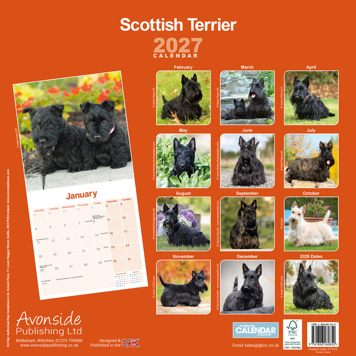 Scottish Terrier 2027 Square Wall Calendar