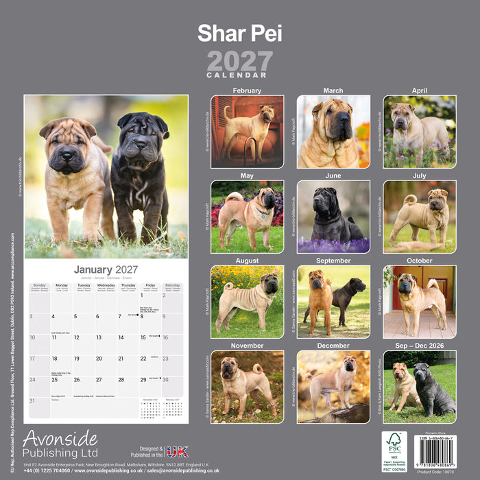 Shar Pei 2027 Square Wall Calendar