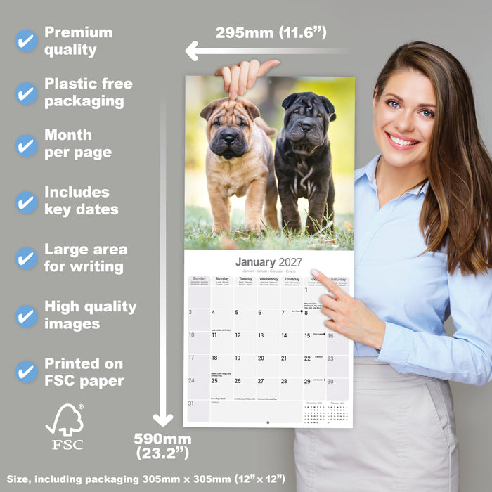 Shar Pei 2027 Square Wall Calendar