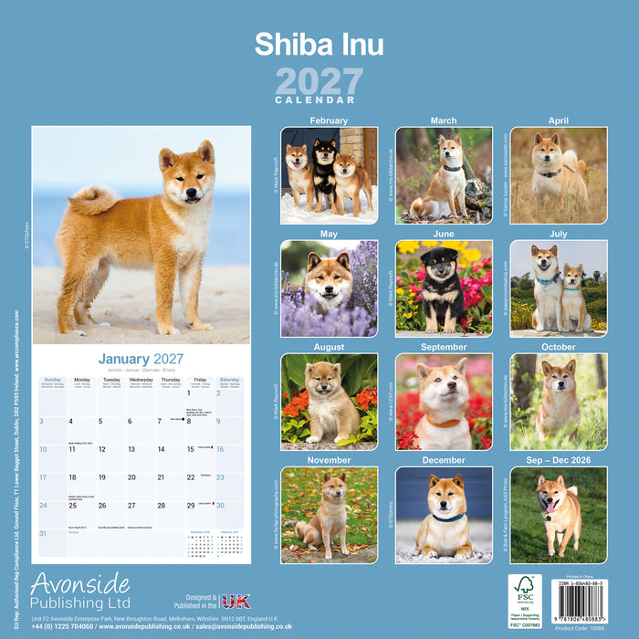 Shiba Inu 2027 Square Wall Calendar