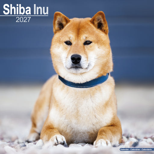 Shiba Inu 2027 Square Wall Calendar
