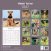 Welsh Terrier 2027 Square Wall Calendar