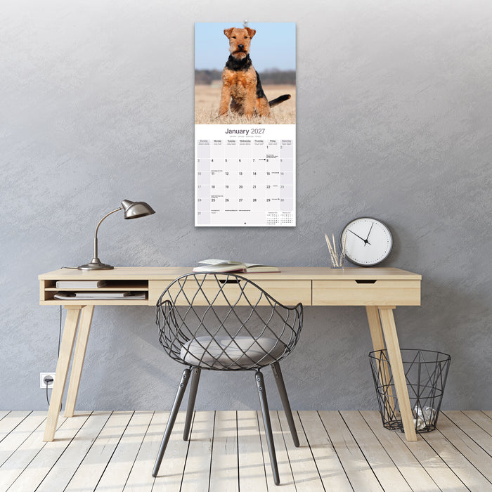 Welsh Terrier 2027 Square Wall Calendar