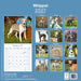 Whippet 2027 Square Wall Calendar