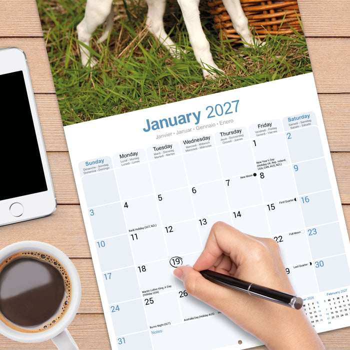 Whippet 2027 Square Wall Calendar