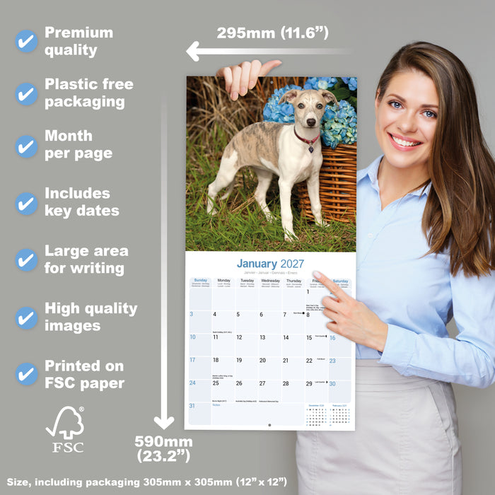 Whippet 2027 Square Wall Calendar