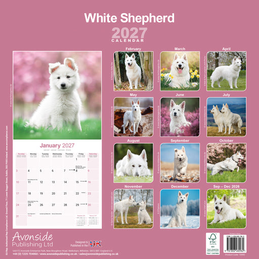 White Shepherd 2027 Square Wall Calendar